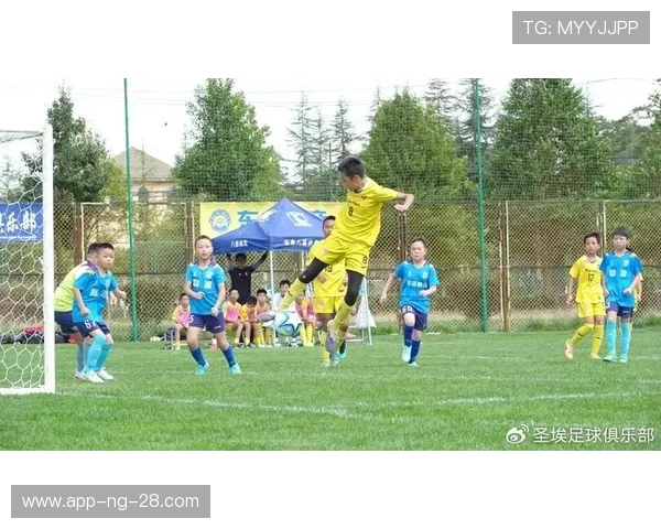 绿茵争锋激情四射见证球队荣耀与青春梦想的辉煌时刻