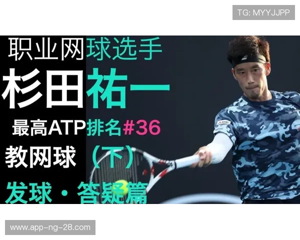 网球技术全面解析：从基础发球到高阶战术策略的全方位指南