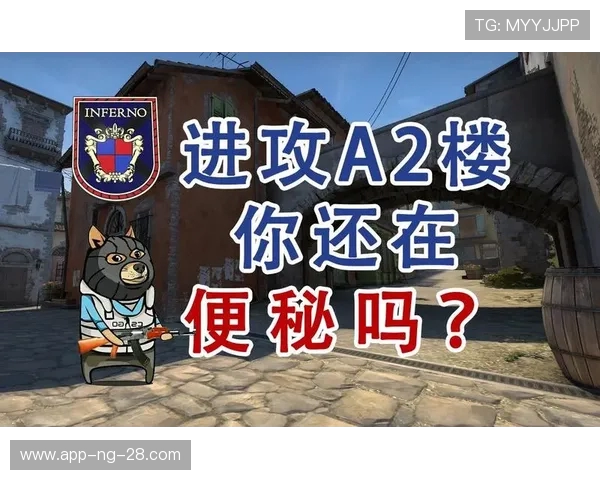 BLG在CSGO比赛中进攻策略的优缺点分析与总结