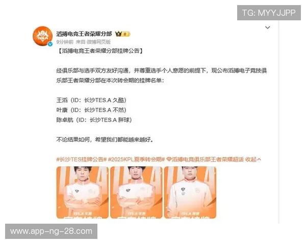 王者荣耀深度解析：TES战队的比赛经验与策略揭秘