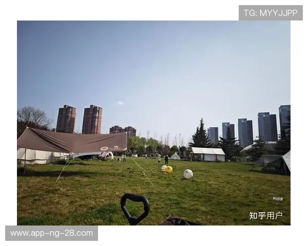 西安篮球队状态飙升创历史新高引发关注与期待