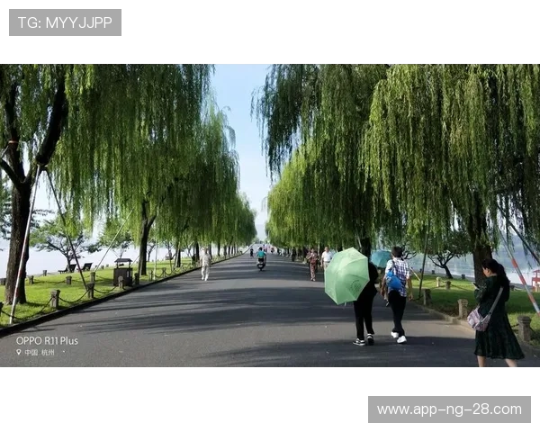 赛后分析：上海与杭州极限运动队心理素质的较量与启示