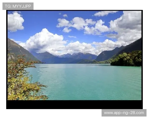 加莱诺的艺术魅力与文化影响力探讨与分析