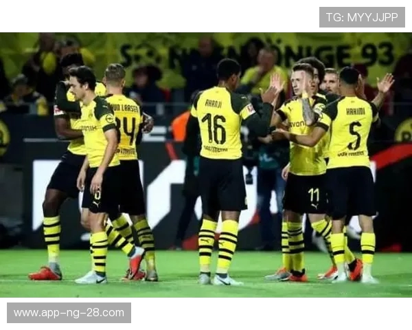 多特蒙德与弗莱堡精彩对决全场录像回放及精彩瞬间分析