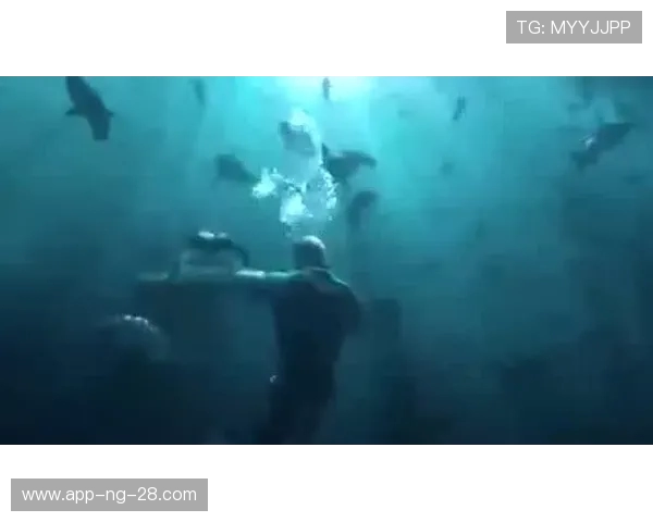 湘南海洋与山形山神激战正酣谁能在这场对决中笑到最后 湘南海洋与山形山神激战正酣谁能在这场对决中笑到最后